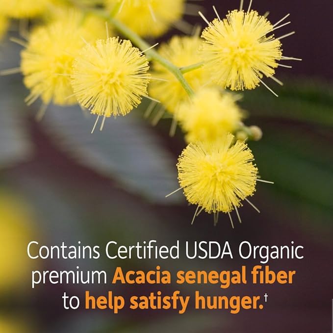 Garden of Life Dr. Formulated Organic Fiber Powder, Citrus Flavor, Prebiotic Superfood Fiber Supplement, Constipation Relief, Psyllium Free, 32 Servings