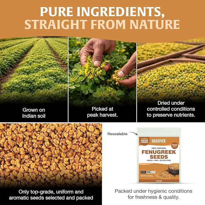 HANDPICK Fenugreek Seeds (14oz) ALL NATURAL Fenugreek - Indian Origin Whole Methi Seeds (Trigonella Foenum Graecum) Fenogreco En Semillas | Resealable Ziplock Pouch