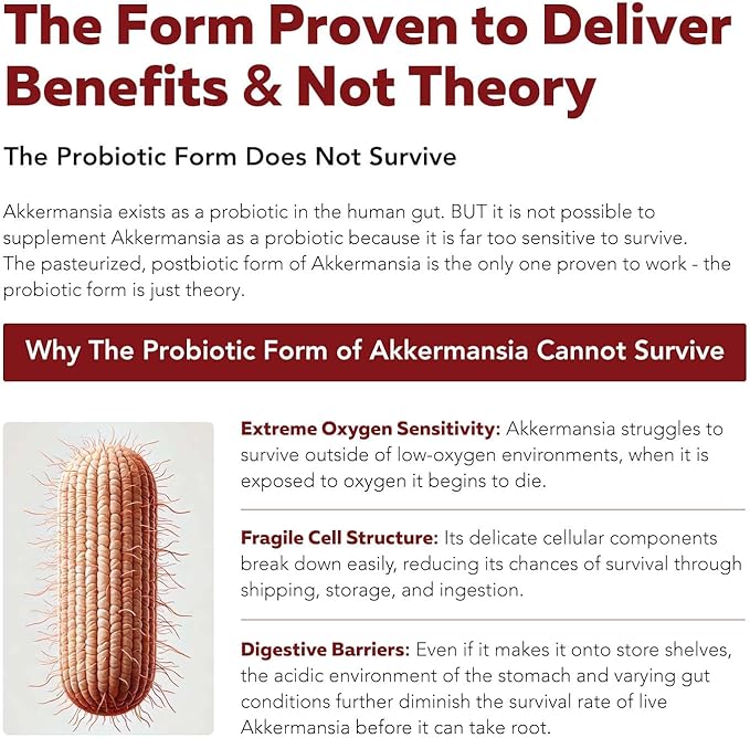 AK-Postbio: Akkermansia Probiotic 30 Billion TFU - Max Strength, Clinically Validated Dose & Patented Strain - Superior Pasteurized Form, Highest Absorption, Delivery - GLP-1 Probiotic - 30 Servings