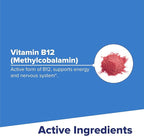 Superior Source No Shot Vitamin B12 Methylcobalamin 2,500 mcg, Quick Dissolve MicroLingual Tablets, 90 Count, Active Form of B12, Supports Energy Production, Nervous System Support, Non-GMO