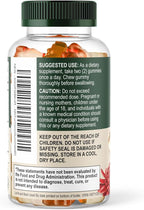 Turmeric Curcumin Supplement Gummies - 95% Curcuminoids with Turmeric & Ginger, Black Pepper for Best Absorption, Nature's Vegan Joint Support, Non-GMO, Gluten Free, Tasty Peach Flavor - 60 Gummies