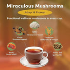 Teeccino Miraculous Mushrooms Adapt & Protect Herbal Tea By Teeccino, 10 Tea Bags - Five Organic Adaptogenic Mushrooms with Chicory & Cacao, 3x More Herbs than Regular Tea Bags, Caffeine Free, Prebiotic