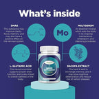 Nootropic Brain Supplement for Memory and Focus Enhancement - Vitamins for Brain, Mental Health & Clarity - Cognitive Health Complex for Mind's Vitality & Mental Alert - 60 Capsules - 3 Pack