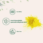 Pure Quercetin Dihydrate Powder, Quercetin 500mg Per Serving, 100 Grams, Most Bioavailable Grade and Filler Free, Powerful Antioxidant Supports Energy, Immune System, No GMOs and Vegan