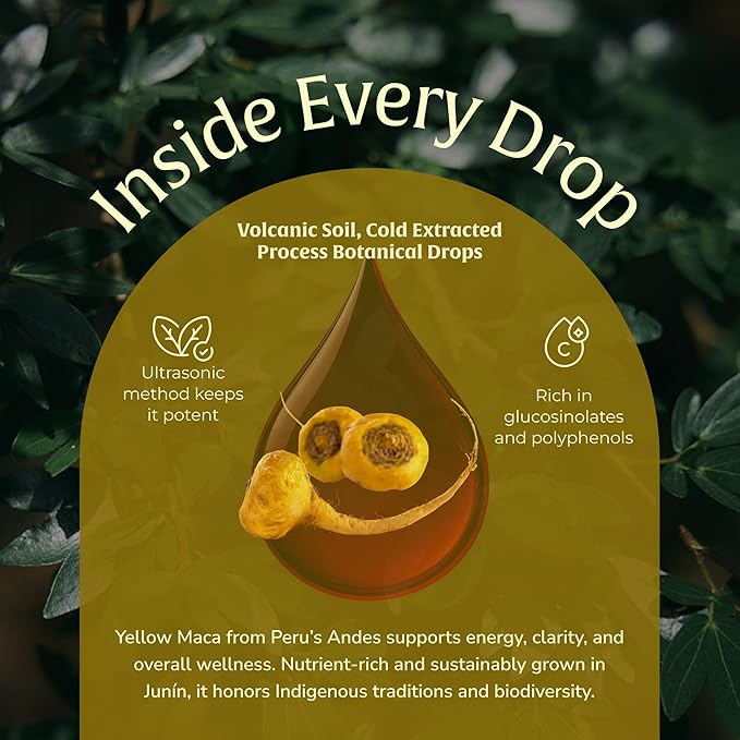 Yellow Maca Extract 50ml – Maca Root Liquid Drops | Peruvian Energy & Hormonal Support | Vegan, Non-GMO Clean Plant-Based Formula for Focus, Mood, Vitality & Wellness– 50 Servings