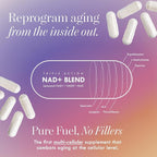NAD+ Supplement – Triple Action Liposomal NAD+ & NADH Formula for Cellular Energy, Mitochondrial Support, and Longevity, Developed by Dr. Halland, 60 Capsules (30-Day Supply)