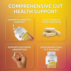 Gut Harmony Plus - Complete Probiotic Prebiotic Postbiotic & Digestive Enzyme Complex Supplement – Gut Health, Digestion, Microbiome Balance & Wellness for Women & Men – 60 Capsules