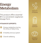 Solgar Vitamin B1 (Thiamin) 500 mg, 100 Tablets - Energy Metabolism, Healthy Nervous System, Overall Well-Being - Super Potency - Non-GMO, Vegan, Gluten Free, Dairy Free - 100 Servings