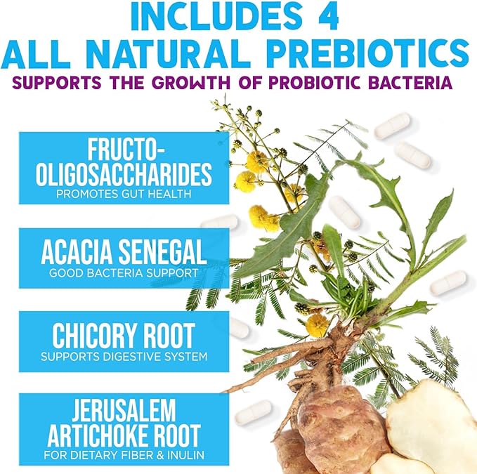 Probiotics 100 Billion CFU Per Serving - 10 Probiotic Strains & Prebiotics - Digestive Gut Health, Immune Support & Occasional Constipation, Gas & Bloating - Daily Supplement For Adults - 120 Capsules