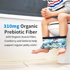 Garden of Life Dr. Formulated Probiotics Organic Kids+ plus Vitamin C & D - Watermelon - Gluten, Dairy & Soy Free Immune & Digestive Health Supplement, No Added Sugar, 30 Chewables (Shelf Stable)