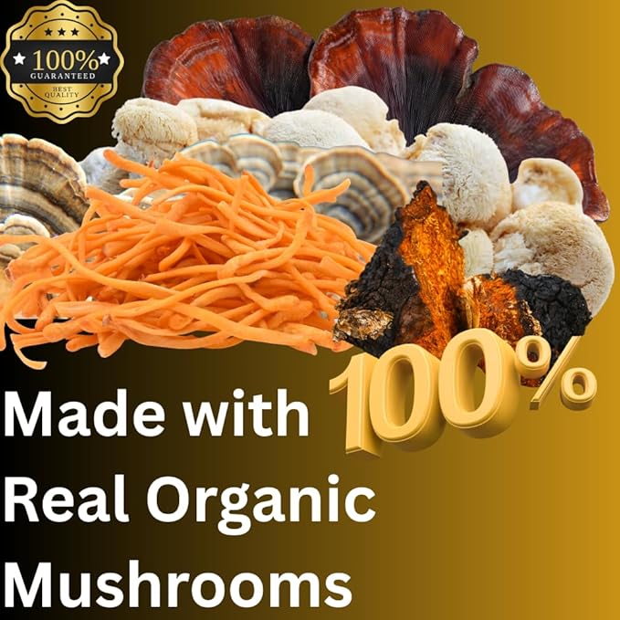 Daily Routine Mushroom Tincture, High Potency, Double Extracted, 60 Daily Doses, Blend of Lion's Mane, Cordyceps, Reishi, Turkey Tail, and Chaga