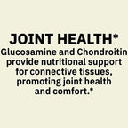 M&F Essential Triple Strength - Glucosamine Chondroitin- 340 Tablets by Spring Valley- Joint Health & Mobility Support- Dietary Supplement- Pill Organizer