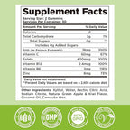 Center-Filled Iron Gummies for Adults & Kids - Iron Supplement with Vitamin B6, B12, C, Zinc, Folate - Support Women Iron Deficiency, Anemia, Blood Builder - Sugar Free Vegan 60ct Apple & Kiwi Flavor