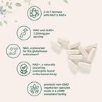 Micro Ingredients NAC with NAD+, 240 Vegetarian Capsules | 1,200 mg Per Serving | 2-in-1 N-Acetyl-L-Cysteine with Nicotinamide Adenine Dinucleotide | Non-GMO, cGMP Manufactured