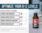 BioActive Vitamin B12 1000 mcg | Contains 3 BioActive Forms B12 Plus Methylfolate Cofactor - Methyl B12, Adenosyl B12 & Hydroxy B12 | Sublingual Form, Cherry Flavor, Organic, Vegan (180 Servings)