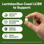 Lactobacillus Casei Probiotic 240 Tablets (4 Month Supply) - 3 Billion CFU - Studied Strain LC89 - Digestive Health & Bowel Support - GMP Certified (240, Lactobacillus Casei)