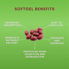 Lycopene - 10MG - 120 Softgels - 3 Month Supply - Premium Quality Antioxidant - 100% Natural Tomato - Great for Prostate Health, Immune System Support, Heart Health and Eyesight Support