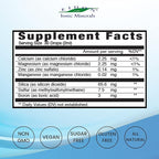 Eidon Mineral Wellness Support Liquid Supplement - Ionic Trace Mineral Drops to add to Water, Calcium, Magnesium, Zinc, Manganese, Silica, Sulfur, Boron, Bioavailable - 2 oz