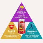 Vitamin B2 Gummies 400mg | Riboflavin 400mg with CoQ10 150mg, Magnesium 200mg | B2 Vitamin 400mg for Kids & Adults, Nervous System & Skin Health | 60 Vegan Chewables（Pack 2