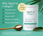 ALGAECAL Collagen - 4 Clinically-Supported Peptides VERISOL®, FORTIGEL®, UC-II®, FORTIBONE®, Anti-Aging Hydrolyzed Collagen Powder, 3 Packs, Made in USA