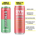 GYM WEED Athletic Focus Drink with KSM-66 Ashwagandha, Lion's Mane Mushroom, L-Theanine, 200mg Green Tea Caffeine with Natural Sweeteners Rainbow Sherbet Flavor, 12 Pack