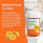 Nature's Key Lutein Gummies 12mg with Zeaxanthin & Vitamin A for Kids and Adults | Eye Health and Brain Function Supplement | Orange Flavor, 120Ct