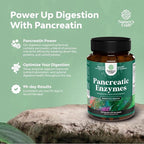 Natures Craft Pancreatin Digestive Enzymes for Digestive Health - Pancreatic Enzymes for Humans with Fat Carb and Protein Women and Men - Protease Amylase & Lipase Digestion -120ct