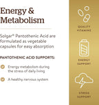 Solgar Pantothenic Acid 550 mg Vegetable Capsules Vitamin B5 Energy Metabolism Nervous System Support Gluten Free Dairy Free Kosher Servings, Standard Packaging, 100 Count