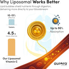 Aurora Nutrascience Liposomal Liquid Vitamin C - Healthy Immune Support Supplement for Adults, Sugar Free, 1000 mg per Serving, Vegan, Gluten Free, Non-GMO - 30 Single Serve Packets, Orange