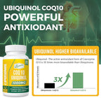 1000mg Liposomal CoQ10 Softgels | Better Absorption CoQ10 Ubiquinol Supplement | Heart Function & Energy Production | Active Antioxidant Form of Vegan Coenzyme Q10 | Non-GMO | 60 Softgels