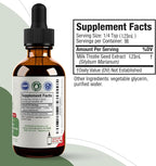 Rejuvica Health Active Milk Thistle 4oz XL Super Size - Advanced Milk Thistle Seed Liquid Extract Drops - May Support the Liver - Vegan Sugar Free Non GMO Tincture