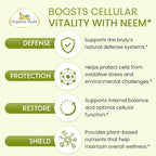 Organic Veda Neem Capsules – Herbal Supplement for Clear Skin, Immune & Gut Health For Men & Women - Single Origin True Green Neem Leaf Powder - Purifying & Cleansing Ayurveda Herb, 120 Vegan Capsules