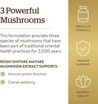 Solgar Multi-Mushroom Complex, 50 Vegetable Capsules - Reishi, Shiitake, Maitake Mushroom Extract - Natural Source of Beta Glucans - Non-GMO, Vegan, Gluten Free, Dairy Free - 50 Servings