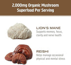 OM MUSHROOM SUPERFOOD Brain Fuel Mushroom Powder Capsules Superfood Supplement, 90 Count, 30 Days, Lion's Mane, Reishi Blend Plus Folate, Mental Clarity, Mushroom Supplement