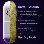 purple tree Next Day – Post-Drink Morning Wellness Supplement for Balance, Restore & Replenishment | Ashwagandha KSM-66, Milk Thistle, Ginger, Peppermint, Electrolytes & Vitamins | 90 Capsules
