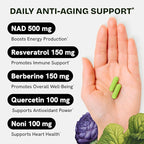 Liposomal NAD Supplement for Women w/Noni | 5-in-1 NAD Resveratrol Supplement w/Berberine & Quercetin | Pure NMN Powder Alternative | Supports Anti Aging & NAD+ Levels | 240 caps - 4 Packs
