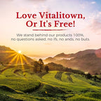 Vitalitown Iron Supplement for Women Men, High Potency 65mg Iron with Vitamin C 250mg, Less Constipating, Better for Blood Building & Energy Improvement, No Gluten, Non-GMO,120 Vegan Iron Pills