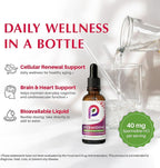 Spermidine Liquid Drops — Cellular Renewal & Healthy Aging Support, High-Potency 40 mg, Organic Peppermint Flavor, Bioavailable Polyamine Supplement — 2 fl oz