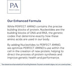 BodyHealth PerfectAmino - BCAA and EAA Powder for Pre and Post Workout - Amino Acid Energy Drink for Men and Women to Support Lean Muscle and Recovery - Mixed Berry - 20 Servings