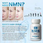NMN 500mg Per Serving | 60 Veggie Capsules – 30 Servings | Easily Absorbed Nicotinamide Mononucleotide Form | NAD+ Boosts, Precursor & NR Supplement Alternative | Non-GMO, Vegan, Women & Men