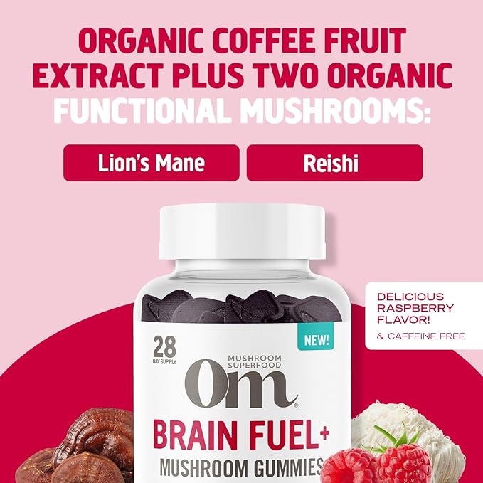 OM MUSHROOM SUPERFOOD Brain Fuel+ Gummies – USA Grown Organic Lion’s Mane – Supports Memory, Focus & Cognitive Function – Raspberry Flavor – 28 Servings, 56 Count.