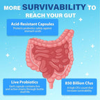 Probiotics for Men, Advanced 50+ Mens Probiotic, Comprehensive Gut & Energy Support with 850 Billion CFU, 1800mg Prebiotics Fiber – Tailored Wellness Mens probiotics for Gut Health Over 50, 360 Caps