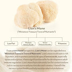 Lion's Mane Capsules, 1,000mg Lions Mane Supplement Capsules for Brain Health Support, Mushroom Powder Extract for Focus, Cognitive & Immune Health Support, 120 Count