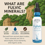 Buried Treasure Fulvic Mineral Drops – 295mg Trace Minerals, Ionic Fulvic Acid Supplement for Hydration, Energy & Electrolyte Support, Vegan, Non-GMO, 2 fl oz Liquid Drops