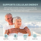 VITRUVIN NMN 500mg - Ultra-Absorbable, Vegan, Non-GMO, Gluten-Free, Gelatin-Free - 1 Bottle, 30 Capsules