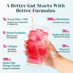 6-in-1 Daily Fiber Powder Supplement, Premium Acacia Fiber for Digestive & Gut Health, Sugar Free, GLP-1 Friendly Fiber Powder with Prebiotic, Probiotics, Collagen Peptides & Electrolytes - For Women