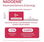 NAD+ Supplement for Women - NMN Alternative with β-NAD+, Trans-Resveratrol, CoQ10, D-Ribose - Promotes Cellular Renewal, Energy, and Radiant Skin Health - 60 Capsules Advanced