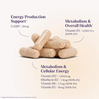Natrol Ultra Energy 4-in-1 Blend 1000mcg B12, Vitamin B Complex, Vitamin D, CoQ10 Capsules 30 Ct, Vegetarian, Caffeine Free, Supports Cellular Energy Production