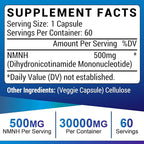 NMNH (Dihydronicotinamide Mononucleotide), NAD Supplement to Boost NAD+ Levels as We Age (May Be More Effective Than Nicotinamide Riboside) - 240 Count (240 Servings)