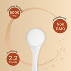 NatureBell Creatine Monohydrate Powder 1,000g, 5,000mg Per Serving, 200 Servings (2.2 lb) | Micronized, Pure & Unflavored | Pre-Workout Muscle Support* | Keto, Vegan, Filler-Free